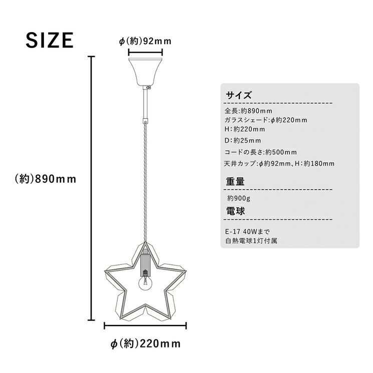 ノエルスターのサイズ