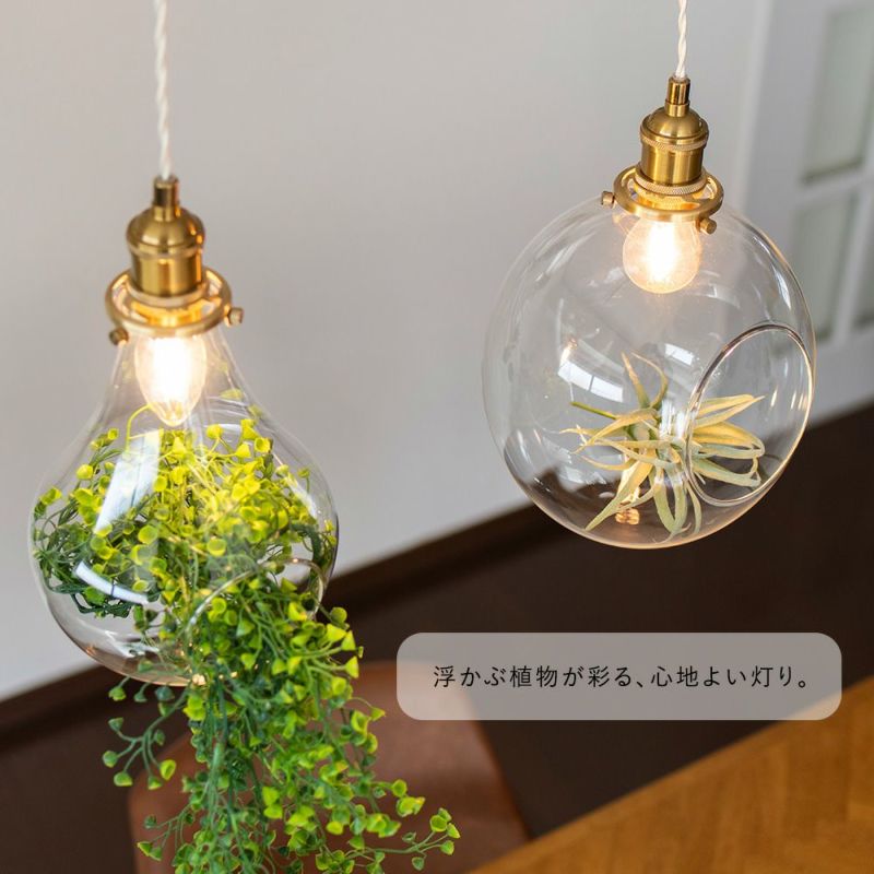 グリーンのある暮らしにテラリウムペンダントライト「Botanic/ボタニク」